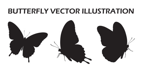 Butterfly Vector Illustration Design. Set of butterflies isolated on white.
