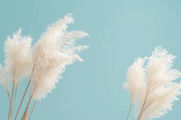青空の背景に浮かぶ穂の美しい植物の群れ
