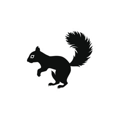 Fototapeta premium squirrel vector silhouette