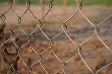 A close-up of a metal fencing mesh, also known as chain-link fencing