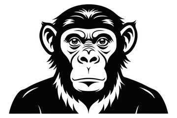chimpanzee line art silhouette vector illustration