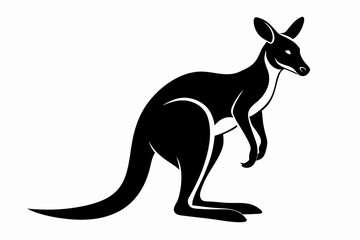 kangaroo line art silhouette vector illustration