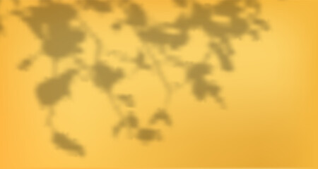 Glare from the sun's rays on the wall. Blurred shadows from leaves and plants in the room. Soft overlay of natural light. Abstract background for product presentation.Natural light layout.