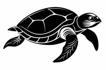 sea turtle line art silhouette vector illustration	