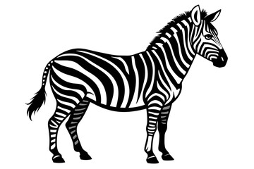 zebra line art silhouette vector illustration	
