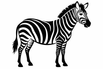 zebra line art silhouette vector illustration	