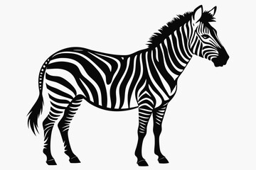zebra line art silhouette vector illustration	