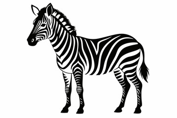 zebra line art silhouette vector illustration	