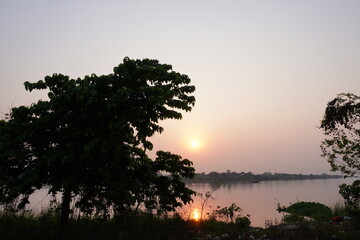 A moment of a sunset over a body of water of a river with a prominent tree in the foreground