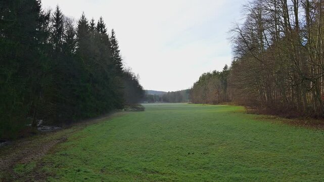 Waldwiese, Herbst, Hornbach, Walld&uuml;rn, Neckar-Odenwald-Kreis, Baden-W&uuml;rttemberg, Deutschland