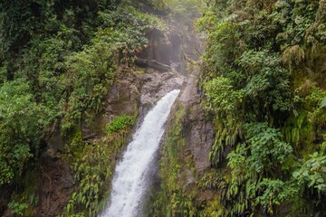 Tropical Waterfall Cascading Amidst Lush Greenery