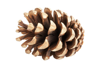 A Majestic Pine Cone, A Symbol Of Natures Resilience And Enduring Beauty, Captured Against A Stark Isolated on Transparent Background Showcasing Its Intricate Details And Warm Brown Tones