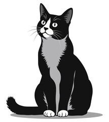 Black White Tuxedo Cat Sitting Isolated