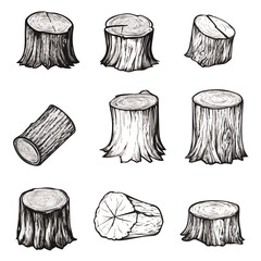 Illustration Set of tree stumps isolated. Natural cut wood
