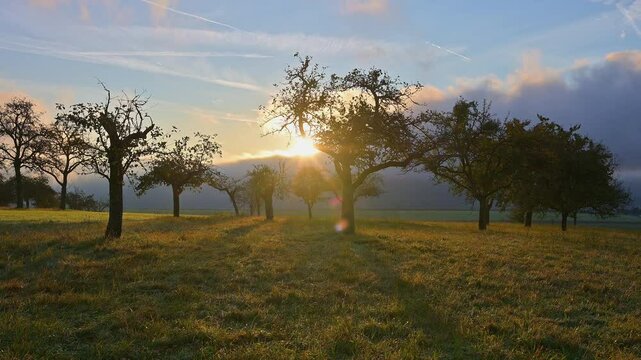Streuobstwiese, Apfelbaum, Sonne, Wolken Himmel, Sonnenaufgang, Eichelsbach, Elsenfeld, Spessart, Bayern, Deutschland, Europa