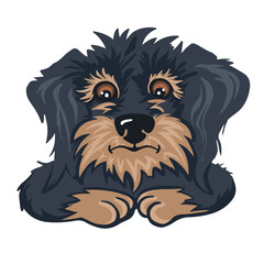 Emotion upset confused dog animal, color cartoon vector.