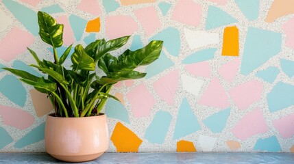 Houseplant in a peach pot against colorful terrazzo wall