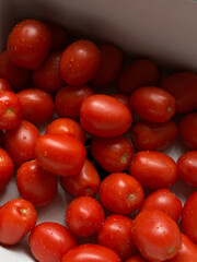 Tomatoes in White Kitchen Sink