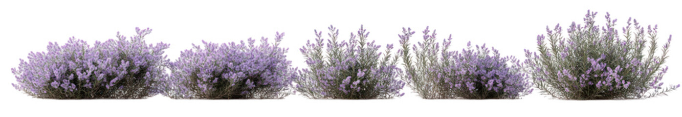 Fototapeta premium A serene landscape featuring vibrant lavender bushes swaying gently in the breeze under a clear blue sky, ideal for wellness and nature-themed projects