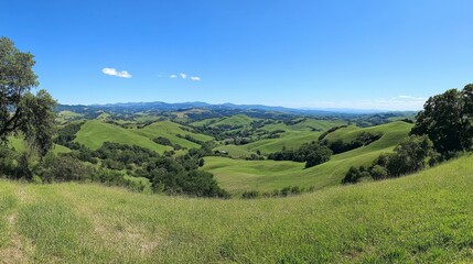 Panoramic View of Verdant Valley Under Clear Blue Sky