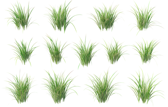 Collection of lush green grass clumps arranged in a grid, ideal for landscape design or digital art