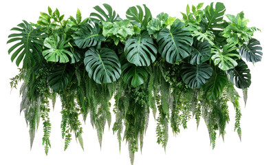 Lush green foliage arrangement featuring various tropical plants cascading downward, ideal for decor