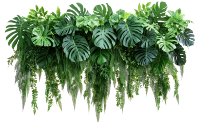 Lush green foliage arrangement featuring various tropical plants cascading downward, ideal for decor