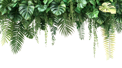 Lush green foliage creating a vibrant natural backdrop, enhancing a serene indoor space