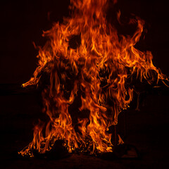 Fire flames on black background. Fire burn flame isolated. Fire flames texture. Flaming burning...