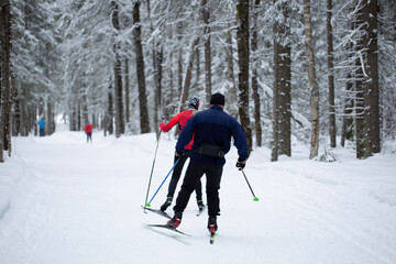 Cross-country skiing.A skier goes skiing in winter on a ski run.