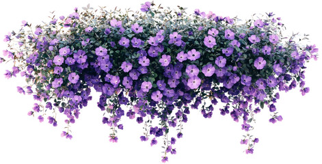 Vibrant purple flowers cascading from a hanging planter in a sunny garden setting