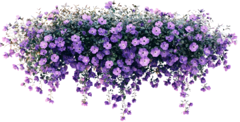 Vibrant purple flowers cascading from a hanging planter in a sunny garden setting