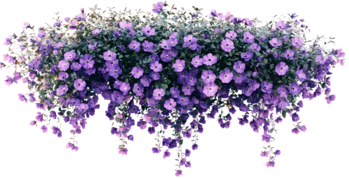 Vibrant purple flowers cascading from a hanging planter in a sunny garden setting