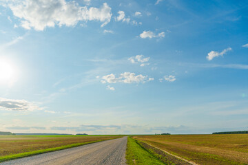 Fototapeta premium An empty dirt road runs through an agricultural field against a background of clouds. An empty road with no cars in summer.
