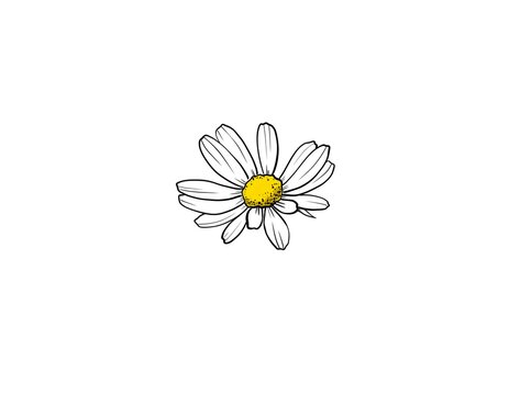 daisy flower, white petals, yellow center clip art preview