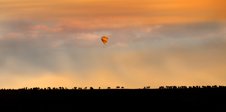 Hot Air Balloon flying over a herd of wildebeest at sunrise, Africa