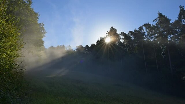 Sonnestrahlen brechen durch Nebel, Spessart, Bayern, Deutschland