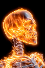 Burning skull and spine