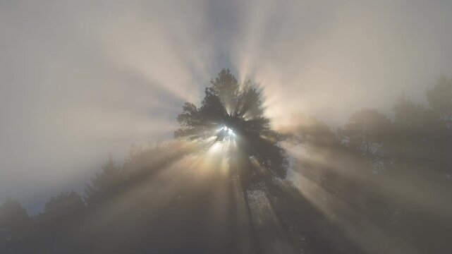 Sonnestrahlen brechen durch Nebel, Spessart, Bayern, Deutschland