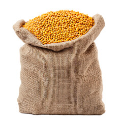 A rustic burlap sack filled to the brim with golden yellow lentils. A hearty and wholesome visual.