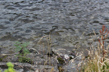 Close-up of the water in Loch Lomond, Scotland