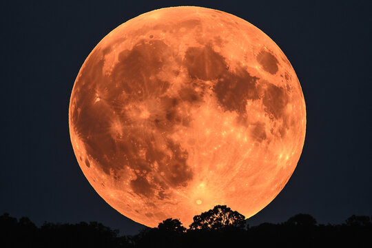 A stunning image of a Super Blood Moon eclipse in the night sky, with the full moon glowing in a deep blood-red hue