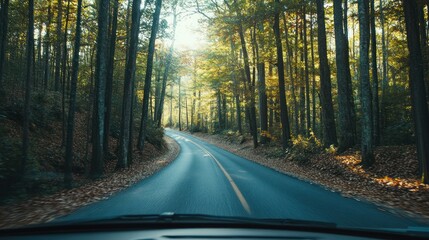Obraz premium Driving down a scenic road through the sunlit autumn forest