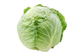 Fototapeta premium Whole green savoy cabbage with textured crinkled leaves isolated on transparent background. Concept of fresh organic vegetables and healthy eating
