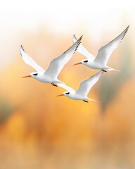 Obraz premium Migratory Patterns of Large-Billed Terns Across Seasonal Landscapes visualized as a realistic photo of terns flying in a perfect V-formation over a misty autumn landscape, V-Formation Flights.