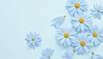 Fototapeta premium Beautiful blue daisies scattered on a soft light blue background. A fresh and vibrant floral arrangement for summer and spring designs.