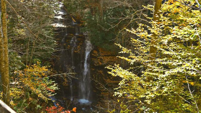 Beautiful waterfall ,Soco Falls is a beautiful, double waterfall on the edge of the Cherokee Indian Reservation in North Carolina, seen here in autumn bordered by colorful autumn leaves.