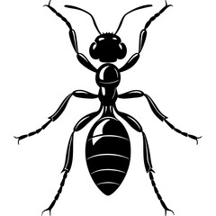 Ant tree black silhouette vector, Simple silhouette Design vector icon with white background. 