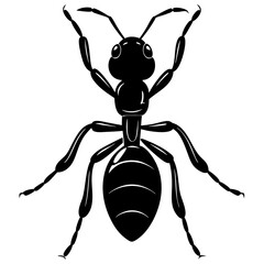 Ant tree black silhouette vector, Simple silhouette Design vector icon with white background. 