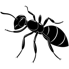 Ant tree black silhouette vector, Simple silhouette Design vector icon with white background. 